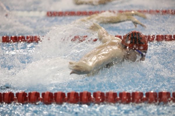 Swimming butterfly in a race